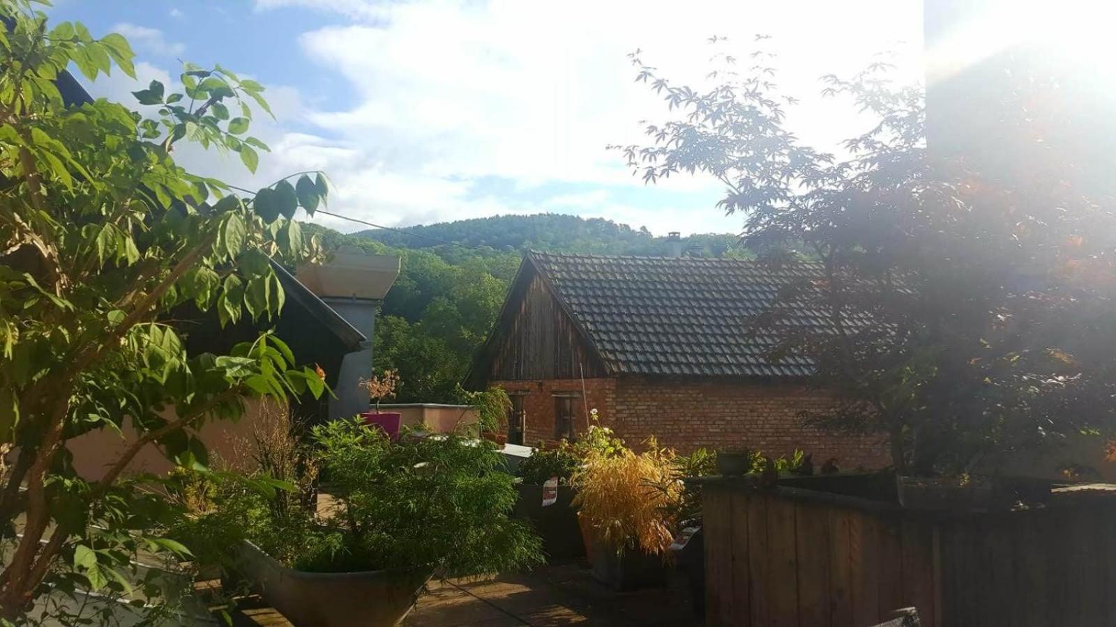 "Cote Nature", Appartement Cosy Au Coeur De Munster Мюнстер Екстер'єр фото