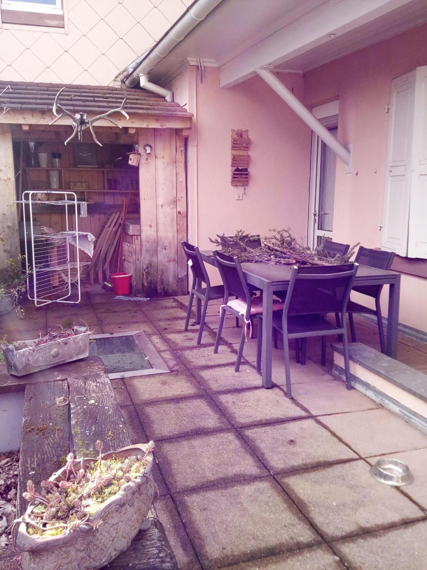 "Cote Nature", Appartement Cosy Au Coeur De Munster Мюнстер Екстер'єр фото