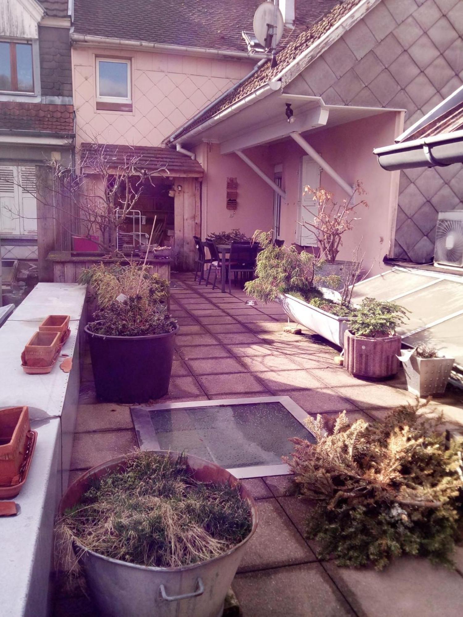 "Cote Nature", Appartement Cosy Au Coeur De Munster Мюнстер Екстер'єр фото